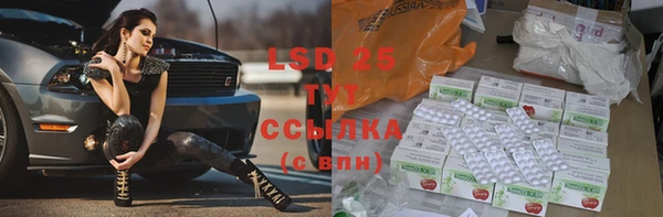 стафф Алзамай