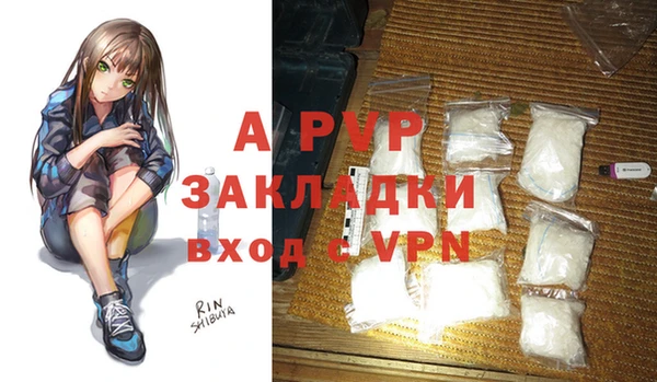 стафф Алзамай
