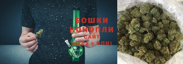 мдпв Инта