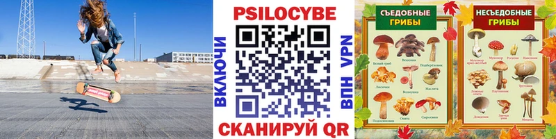 Галлюциногенные грибы прущие грибы  Арзамас 
